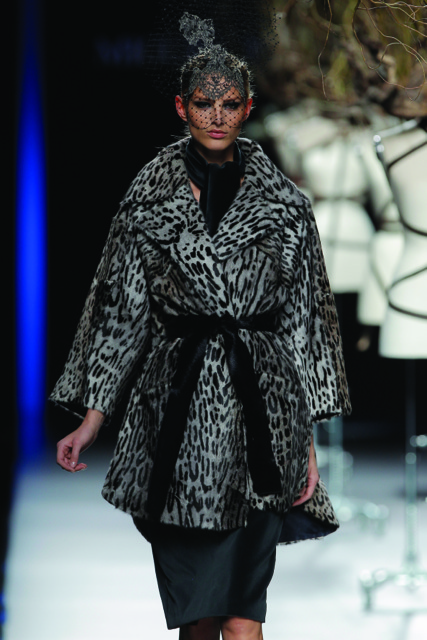 asmoda.Models.Custom.FotosVista