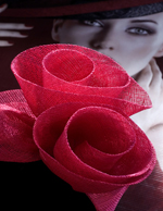 asmoda.Models.Custom.FotosVista