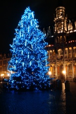 El árbol de Bruselas