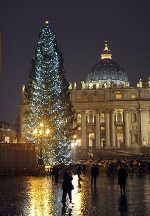 El árbol del Vaticano