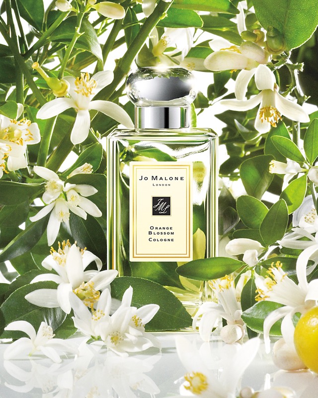 Aroma de azahar