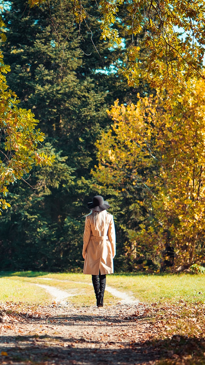Disfrutar el otoño