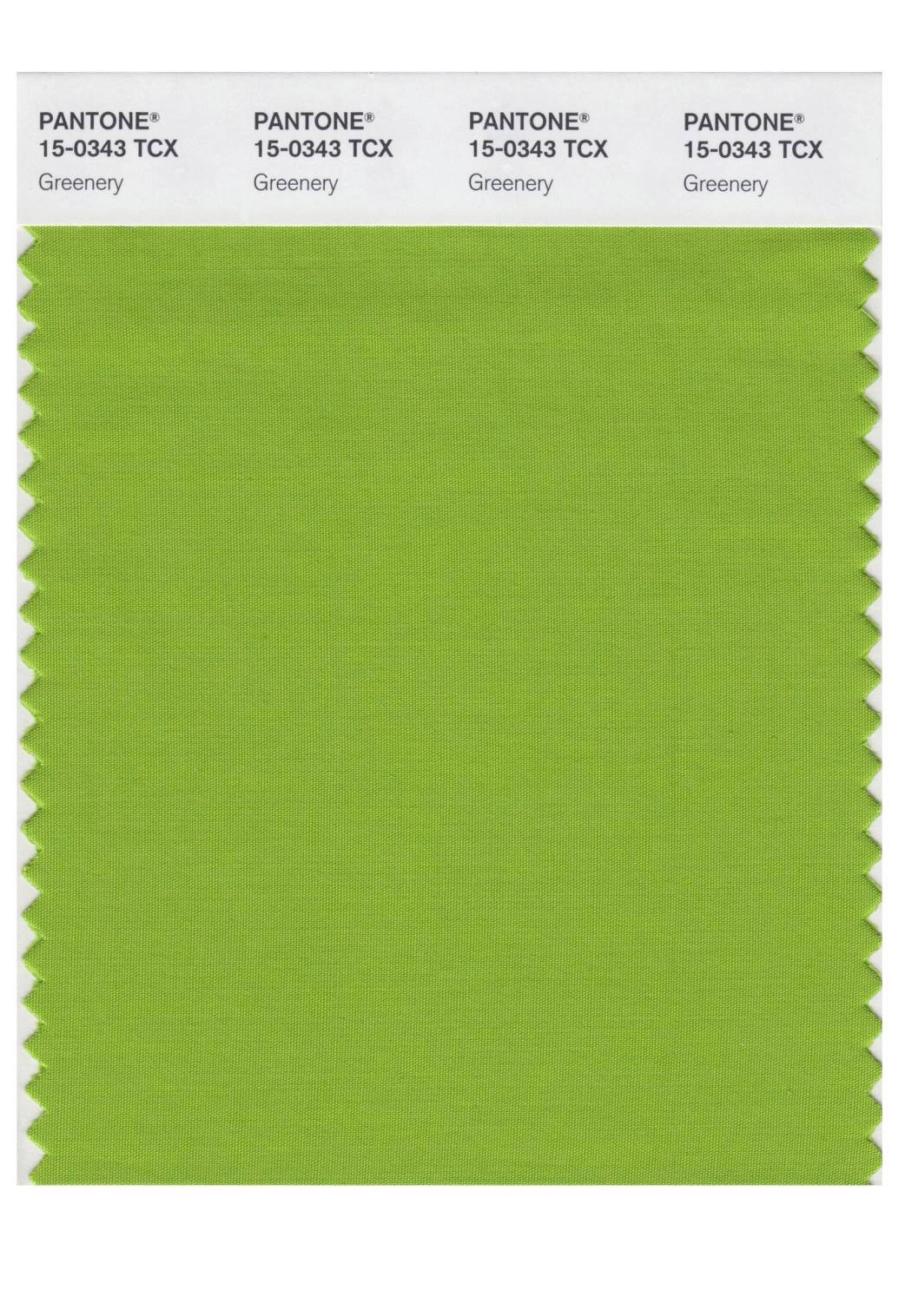 Verde Greenery