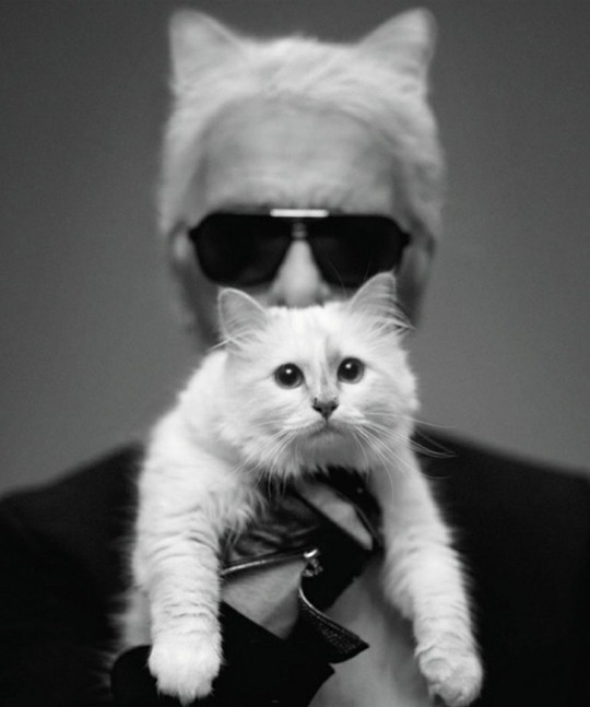 Con su gata Choupette