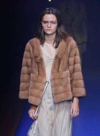 Chaqueta Gucci