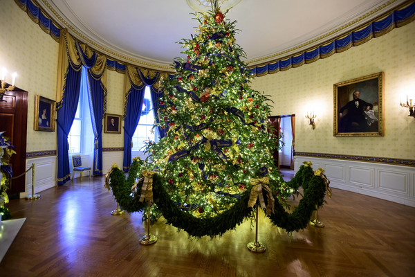 Arbol en el Salón Azul