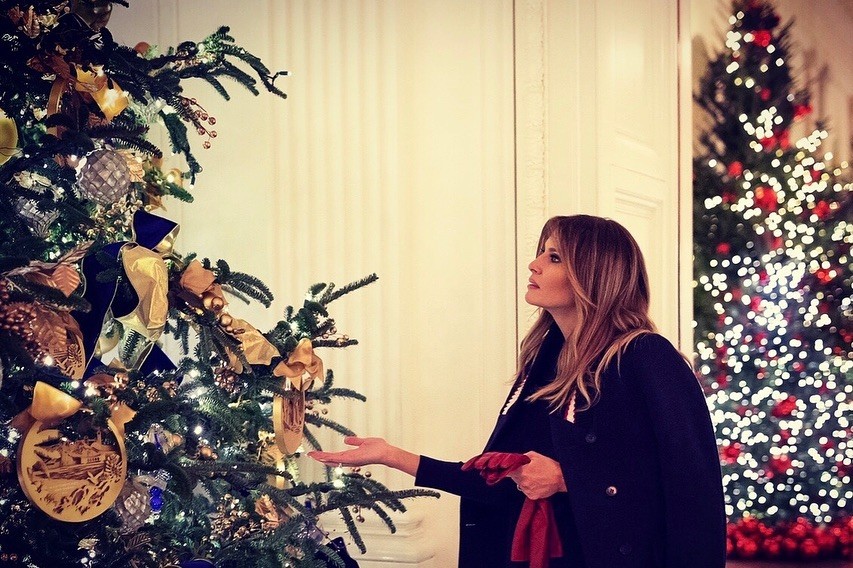 Arbol Gold Star