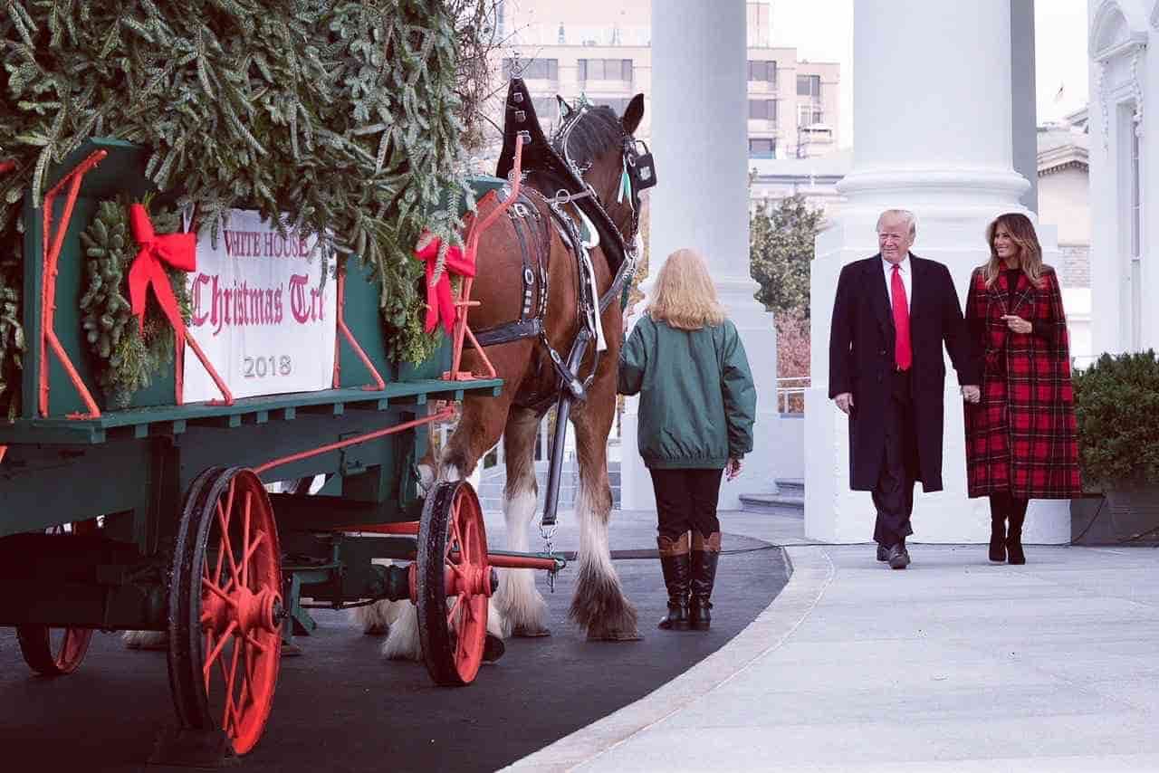 Los Trump otro año