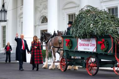 Los Trump y el árbol