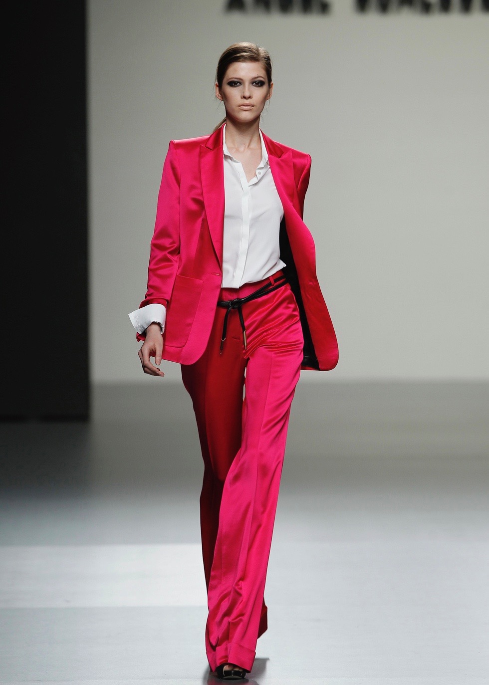 Modelo Schlesser 2011