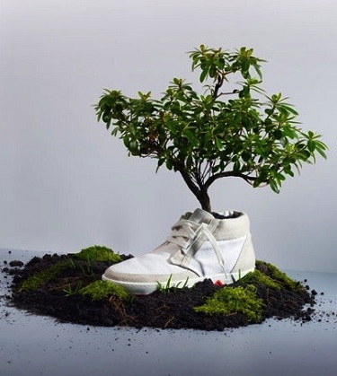 Moda sostenible