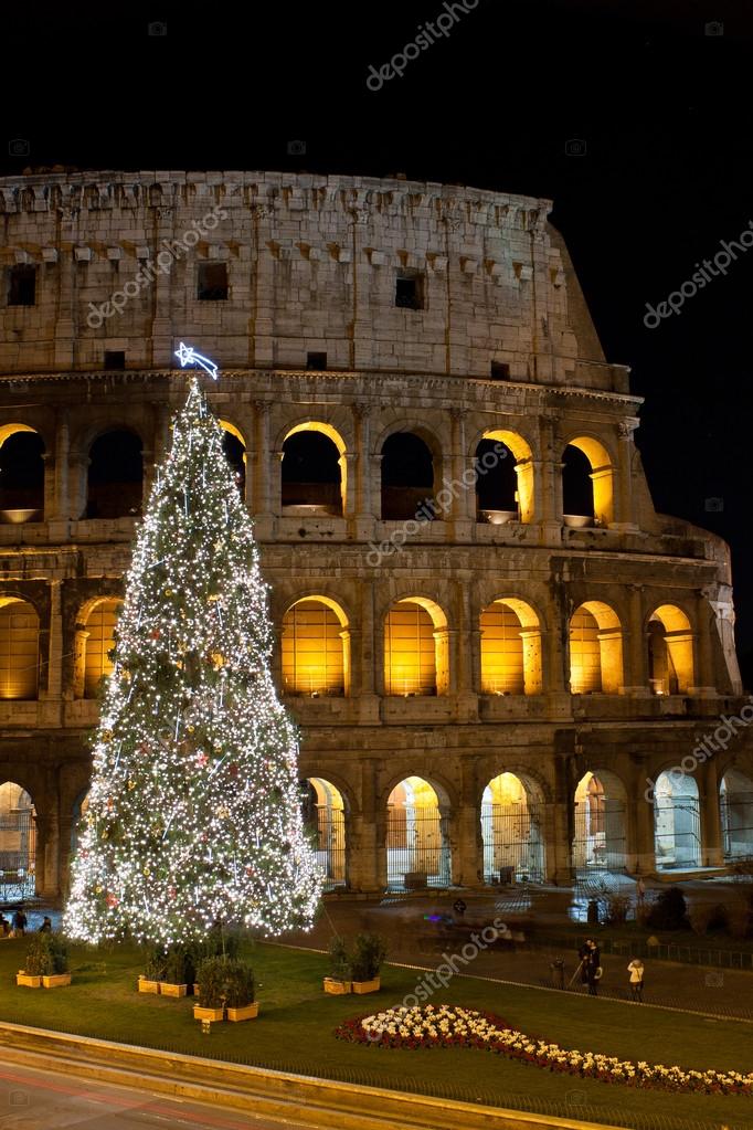 Arbol junto al Coliseo, Roma
