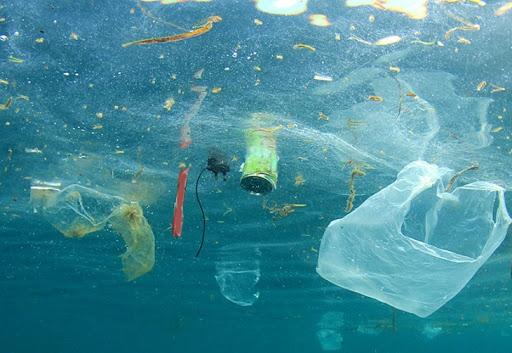 Basura en el mar