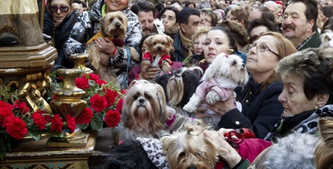 Fiesta de san Antón